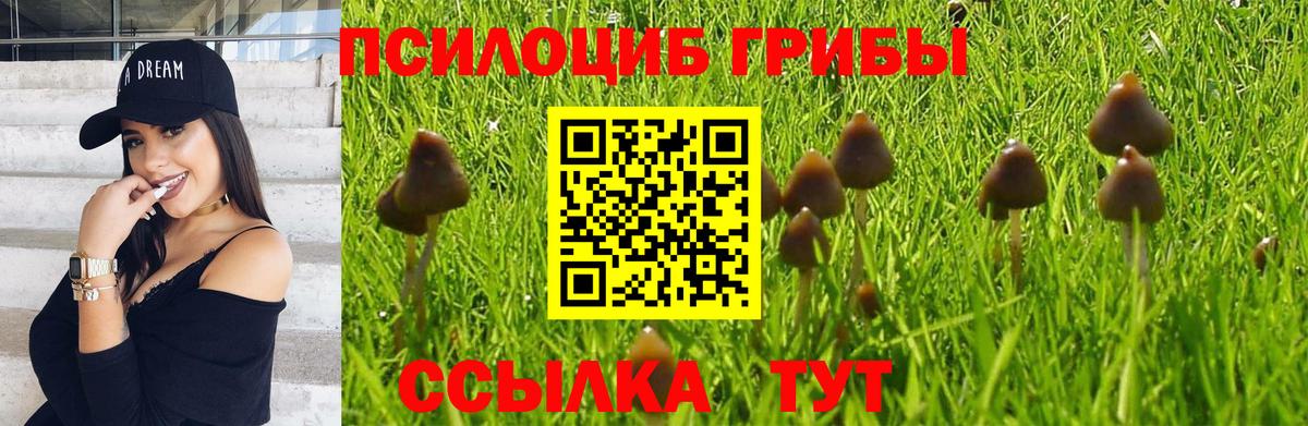 Галлюциногенные грибы ЛСД Реутов