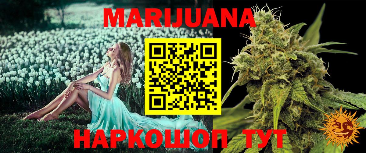 Каннабис план Реутов